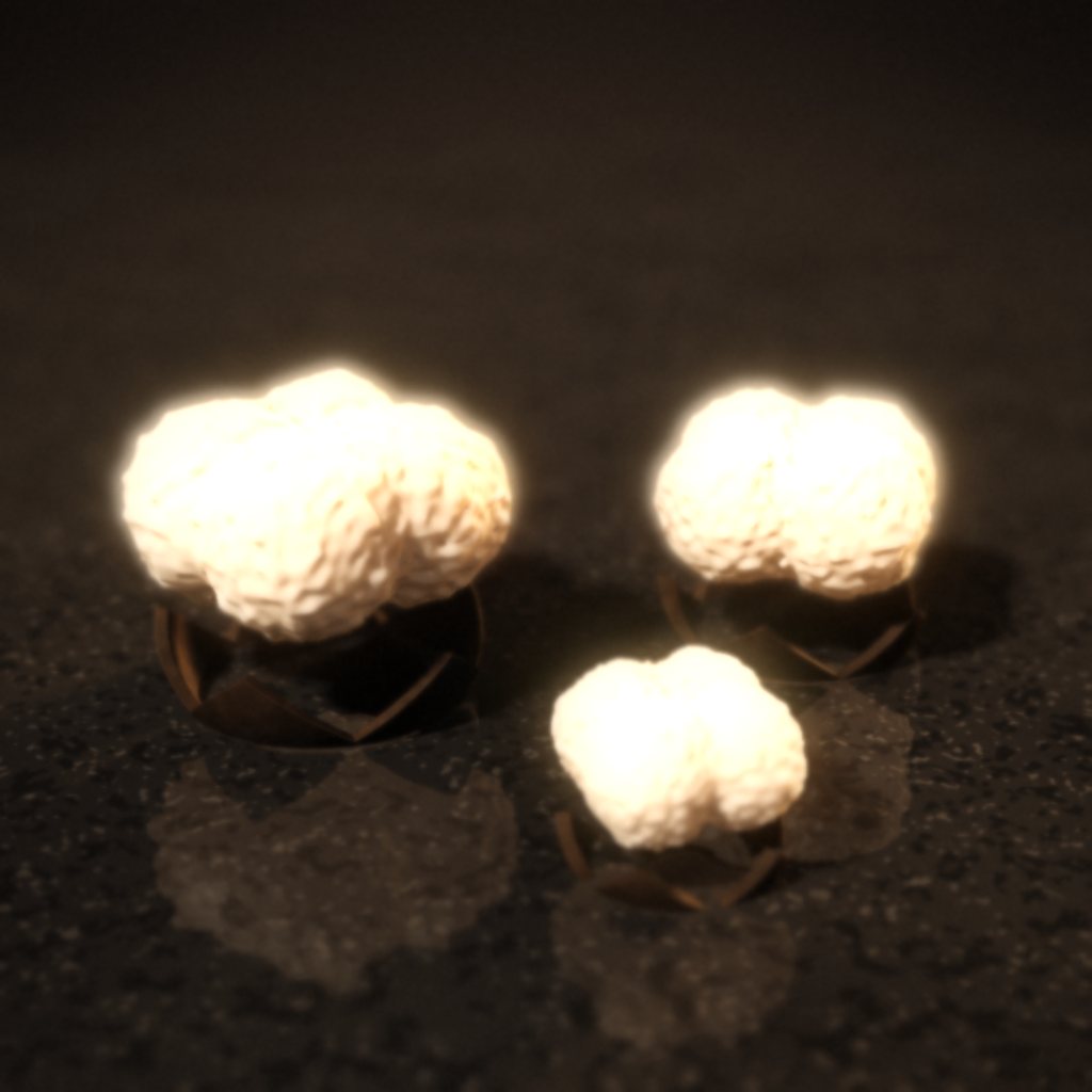 Soft white cotton bolls on dark stone