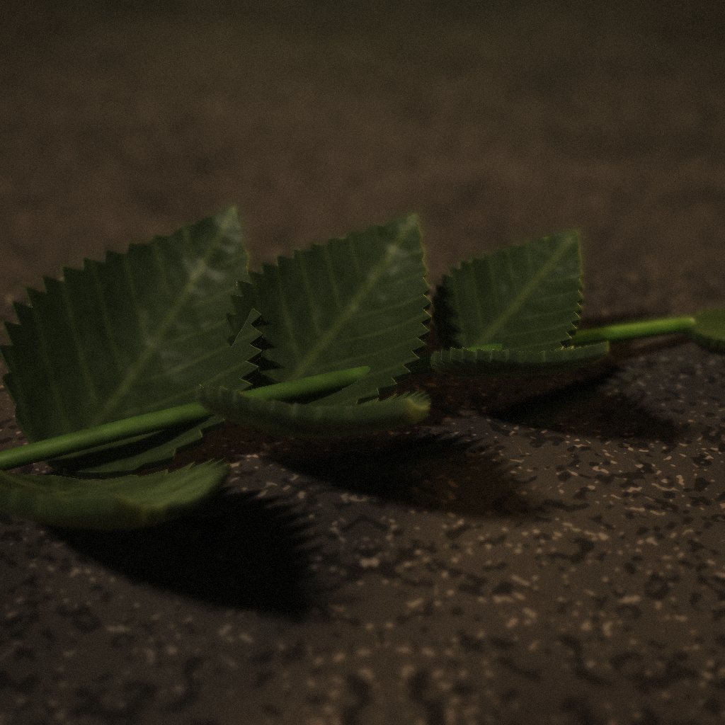 A sprig of patchouli leaves
